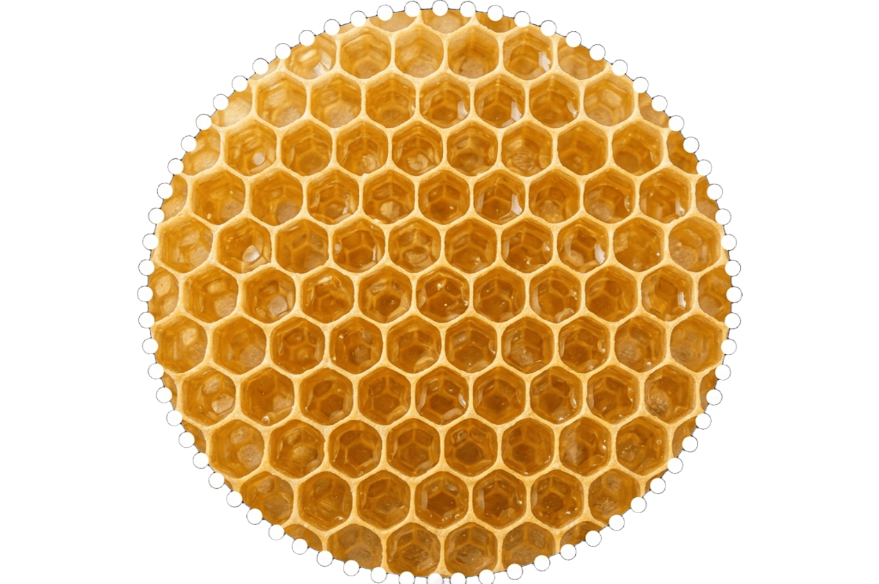 h1-slide2-layer1